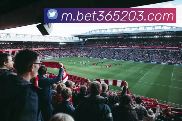 bet365中国官网全站App